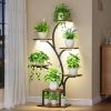 Modern 49-inch Tall Indoor Plant Stand Display Shelf with Grow Lights