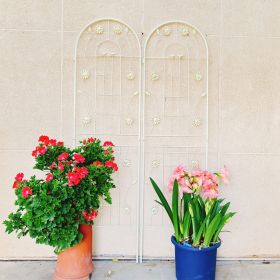 2 Pack Metal Garden Trellis 71" x 19.7" Rustproof Trellis for Climbing Plants Outdoor Flower Support (Color: CREAM WHITE)